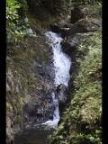 Mayflower National Park Belize 2020